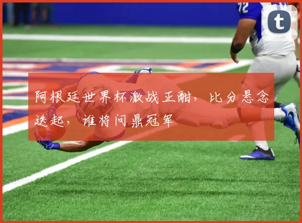 阿根廷世界杯激战正酣，比分悬念迭起，谁将问鼎冠军