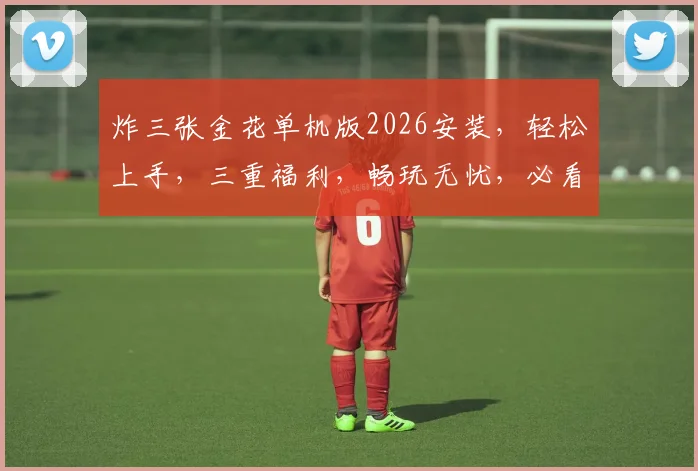 炸三张金花单机版2026安装，轻松上手，三重福利，畅玩无忧，必看攻略，速来体验