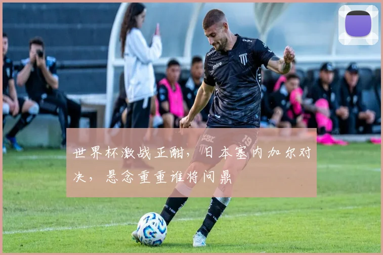 世界杯激战正酣，日本塞内加尔对决，悬念重重谁将问鼎