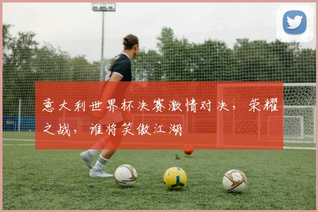 意大利世界杯决赛激情对决，荣耀之战，谁将笑傲江湖