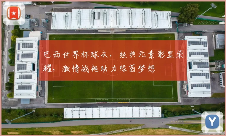 巴西世界杯球衣，经典元素彰显荣耀，激情战袍助力绿茵梦想