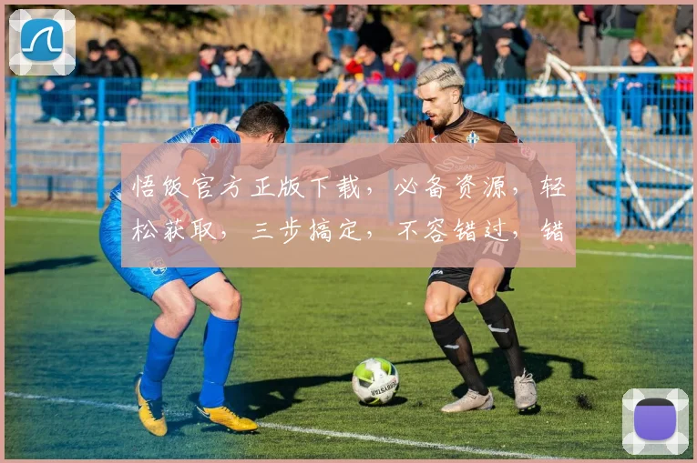 悟饭官方正版下载，必备资源，轻松获取，三步搞定，不容错过，错过再无