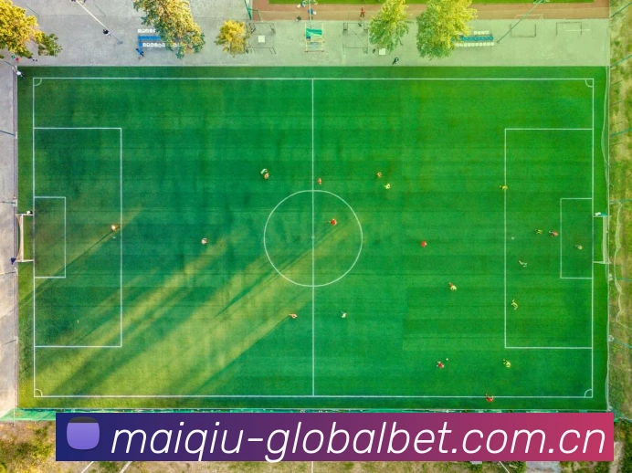 战术分析频道